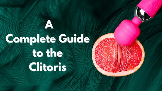Complete Guide to the Clitoris