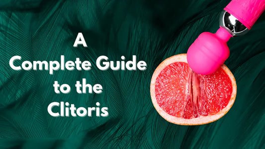 Complete Guide to the Clitoris