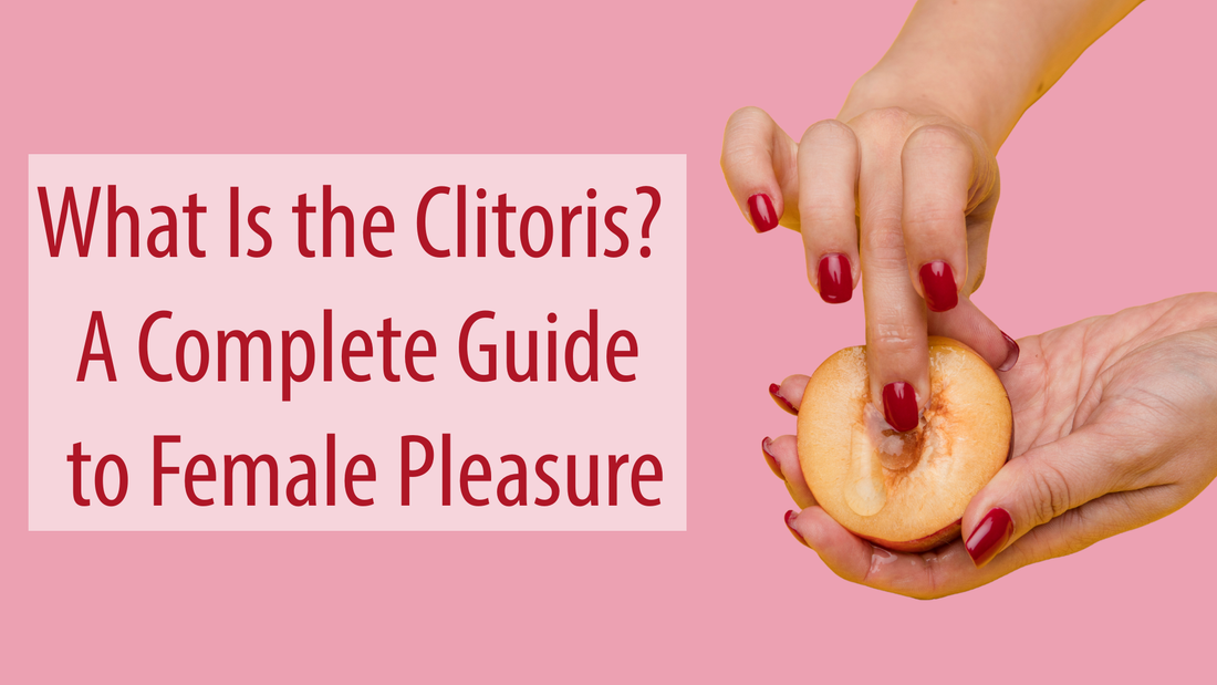 What Is the Clitoris? A Complete Guide to Female Pleasure